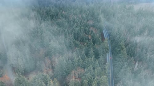 Outdoor forest car driving in the woods. Mountain autumn road aerial view.