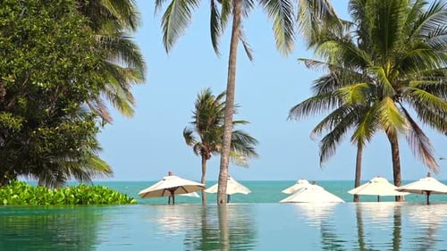 Infinity Pool With Amazing Sea View, Tropical Vegetation At Private Beachfront Property on Exotic V