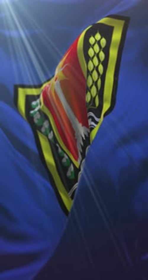 Waving Vertical Blue Flag with Detailed Emblem