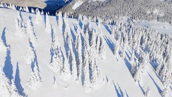 Cinematic Aerial View of Majestic Rocky Peak and Snowy Forest in Alpine ...