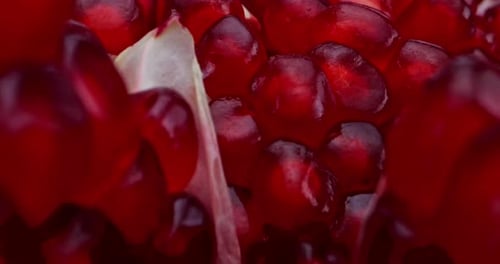 Close up of Fresh Pomegranate Seeds