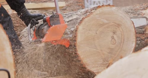 Logger Cutting Wood Log with Chainsaw