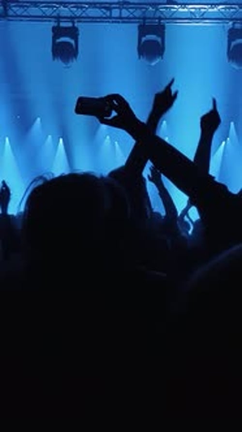 Unrecognizable Fans Dancing and Raising Their Hands at a Concert or Festival Party.