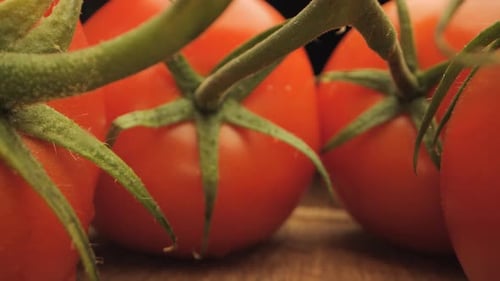 Close Up of Fresh Ripe Tomatoes on Cutting Board