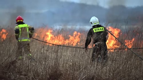 Firemen Fighting with Wildfire in the Meadow
