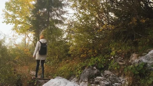 Beautiful Female Traveler Walks Through the Forest to the Mountains Incredibly Beautiful Views in