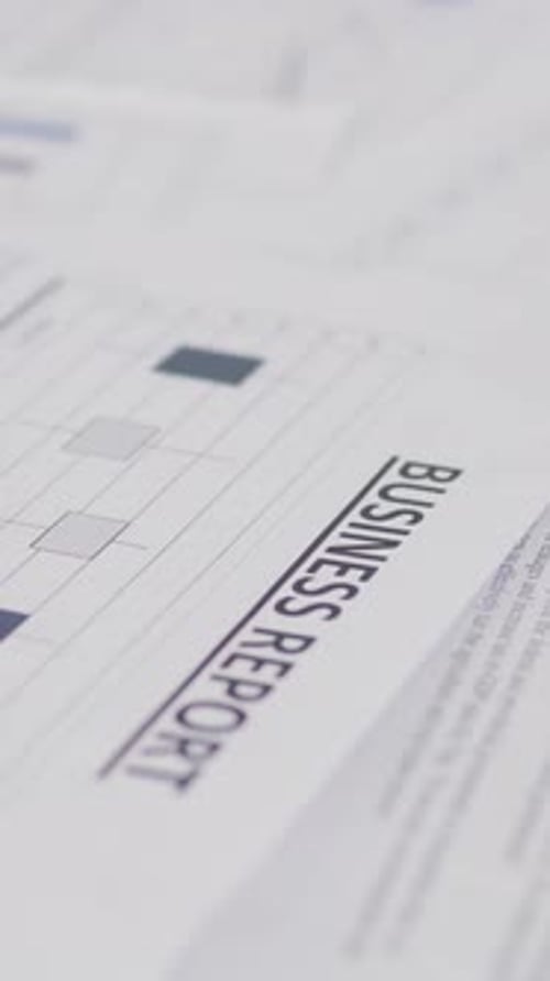 Business Report Presentation with Charts and Graphs
