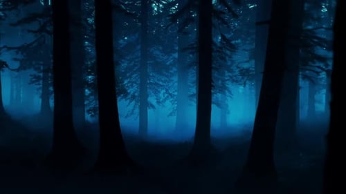 Blaue Lichter beleuchten nachts einen dunklen Wald