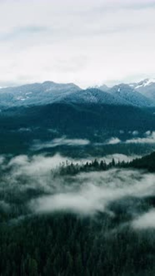 Aerial morning foggy road in forest. Mountain road with foggy landscapes. Vertical video