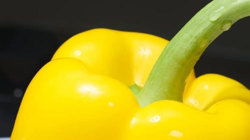 Fresh Yellow Bell Pepper Rotating on Black Background in Slow Motion