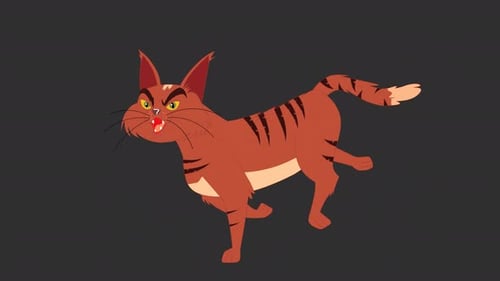 Cat Run