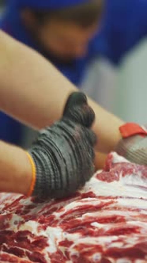 Person Cutting Fresh Meat with Sharp Knife