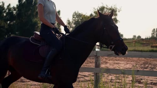 A rider dressed in professional equipment practices a gallop on his beautiful horse in an outdoor
