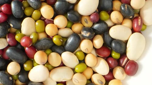 Colorful Variety of Healthy Dried Beans