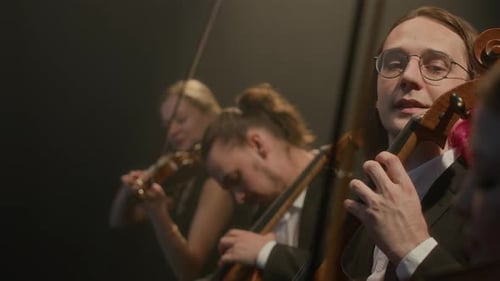 String Quartet Giving Music Concert