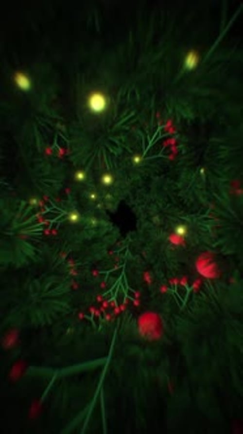 Christmas Tunnel 01