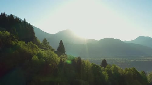 Bright morning sunshine shines on a gravel path as the downhill cyclist rides past the camera.