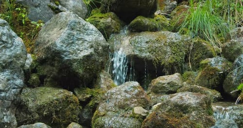 Stream of clear water flows between the stones in mountains. Rivulet splashing close-up. Spring clea