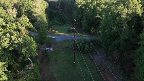 Power poles or electricity pylon between colored trees in America. Golden hour in scenic forest