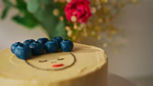 delicious freshly made sponge cake bento decorated with blueberries cake on a stand on a white