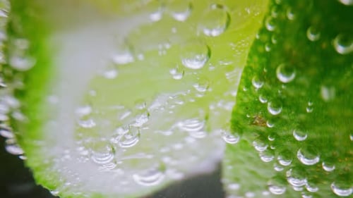Lime pieces in fizzy drink