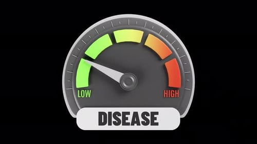Animated 3D Risk Level Indicator Gauge with Dynamic Needle
