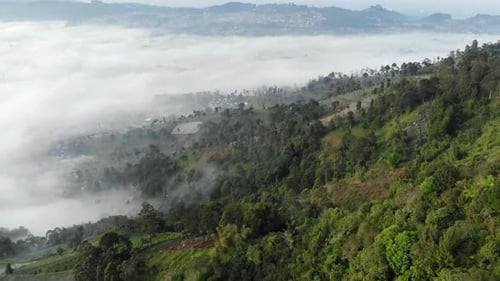 Aerial view of beautiful foggy mountain valley in the morning