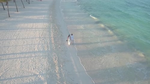 Newly Married Couple Walks Tropical Beach After Wedding, Aerial Drone Aerial