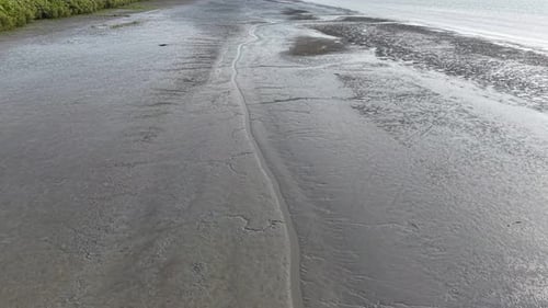Drone view of muddy coastal tidal flats and channel