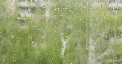Fenêtre avec gouttes de pluie. Vue sur les arbres verts à travers le verre mouillé