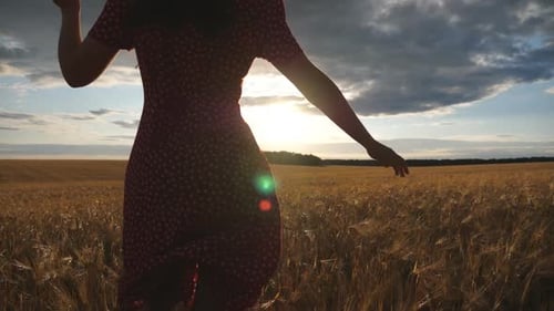 Rear View of Happy Girl in Red Dress Running Through Golden Wheat Field with Balloons in Hand at