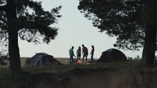 Compañía de amigos junto a una fogata haciendo malvaviscos fritos, campamento, senderismo, estilo de vida activo, jóvenes
