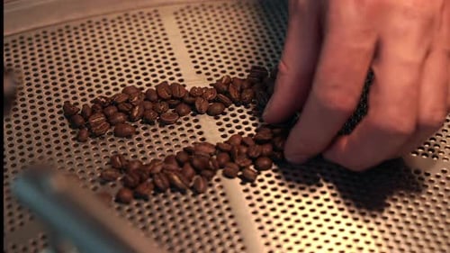 Roasted Coffee Beans on Metal Surface