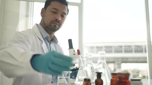 Scientist Works With Petri Dish and Microscope