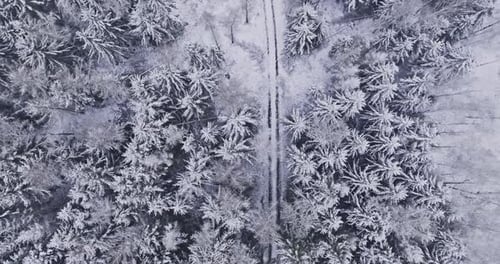 Aerial view of snowy road and in winter forest, Poland.