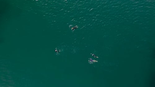 Aerial View of People Swimming in the Ocean