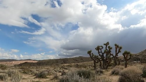 Sweeping rotating time lapse of a Joshua tree, cloudscape and rugged terrain of the Mojave Desert