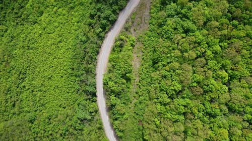 Small road passing through beautiful scenery with trees and slopes in hungary.