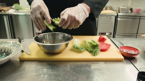 Mature Chef Preparing a Meal with Various Vegetables Cooking Vegetables Tomato Salad on Professional