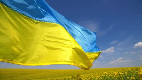 Waving Flag Over Field of Flowers