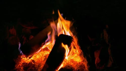 Cam Fire