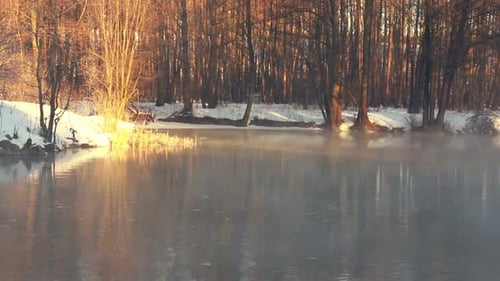 Fog Over Forest River in Winter. Mist Over Winter River. River In