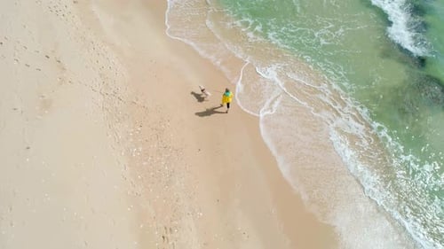 Aerial View of a Young Woman in Yellow Jacket Walking on Beach with Her Dog