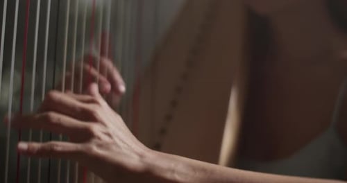 Sensual Female Musician Playing Harp in Studio