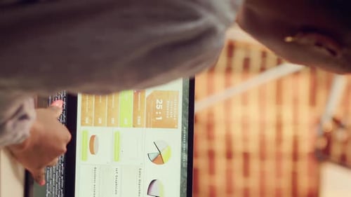 Woman Uses Laptop with Business Analytics Application