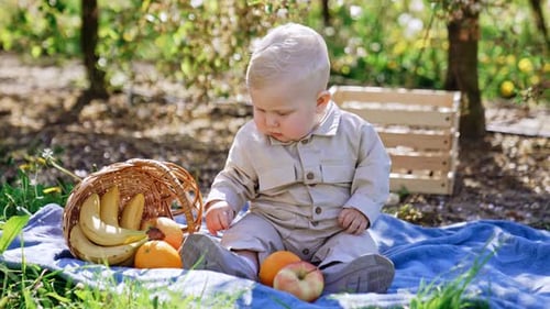 Adorable Baby Enjoys a Sunny Fruit Picnic