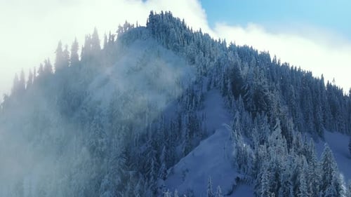 Sunny Frozen Winter Fir Forest Mountain Peak Background Winter Range Landscape