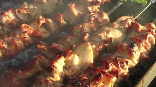 Close-up of barbeque chicken cooking on charcoal grill