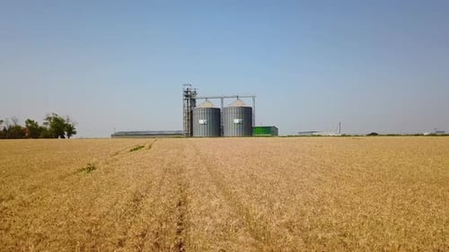 Aerial of Grain Elevator in Front of Wheat Field Quadcopter Drone Camera Flying Towards Flour or Oil