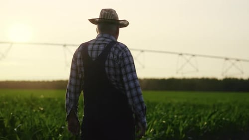Aged Countryman Admiring Beautiful Rural Scenery in Summer Morning Back View Happy Old Farmer